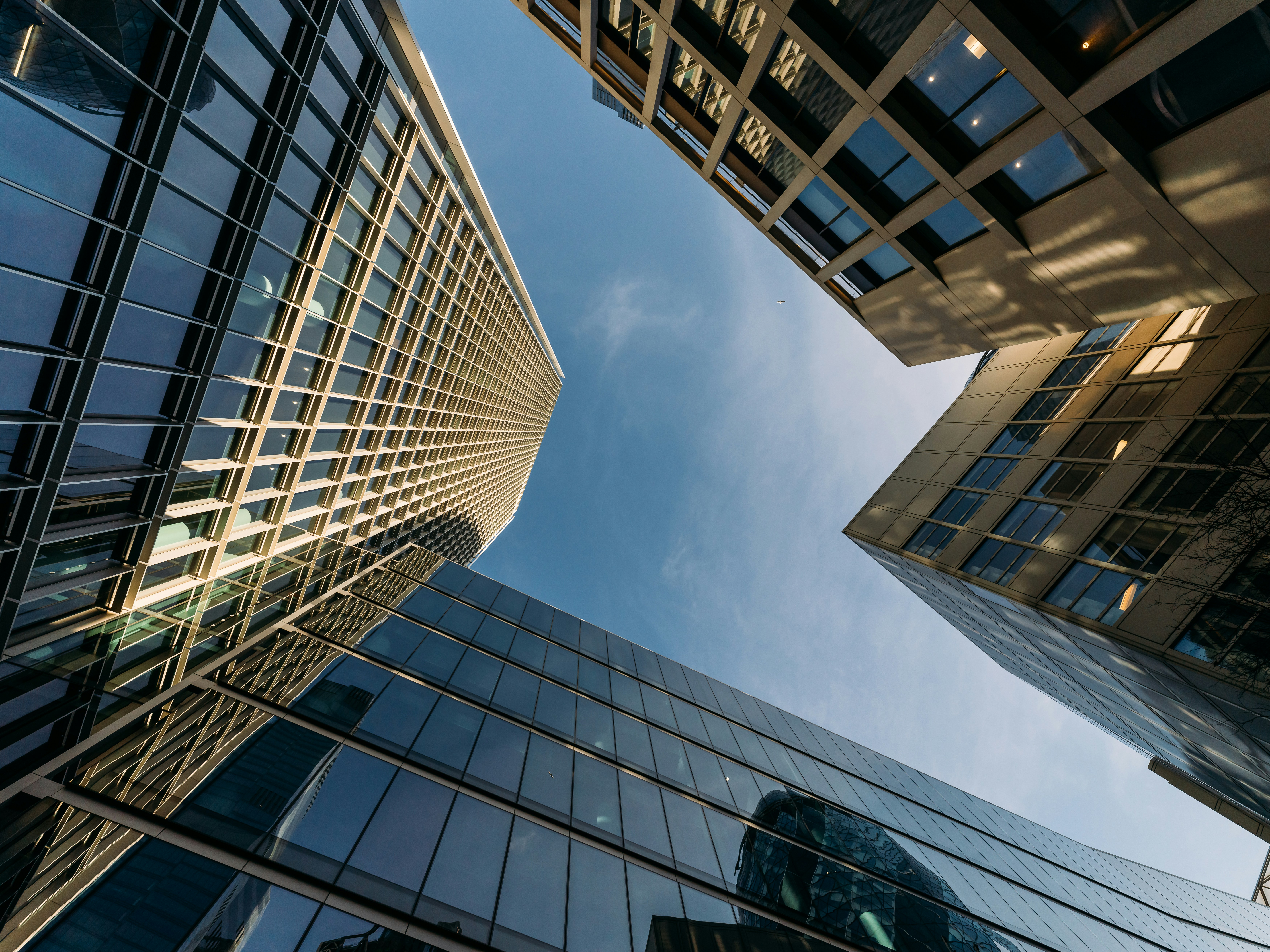 The Flight to Quality Reshaping Global Private Markets
