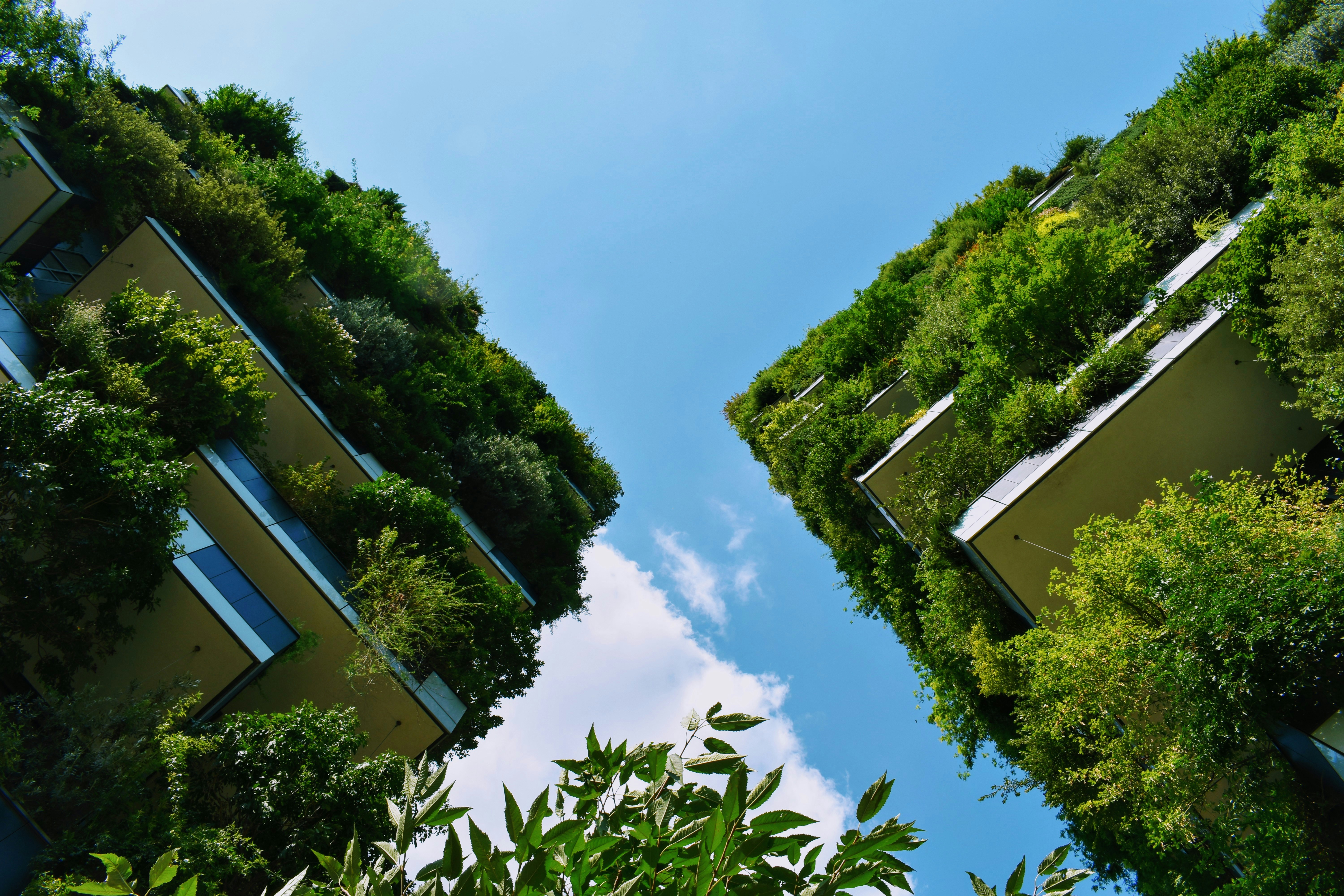 Sustainability Trends and the Strategic Outlook for Businesses in 2026