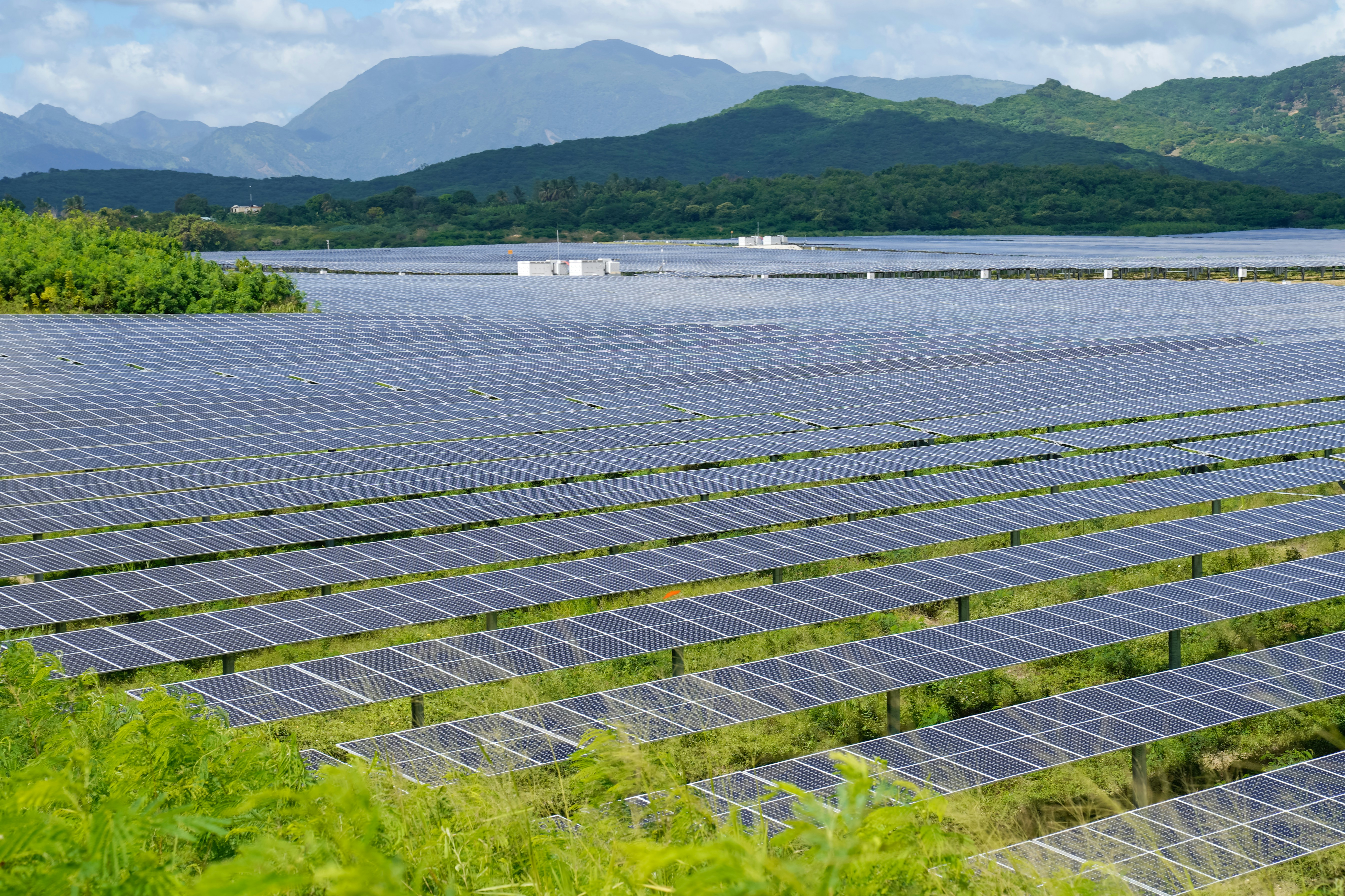 Sustainability Trends and the Strategic Outlook for Businesses in 2026